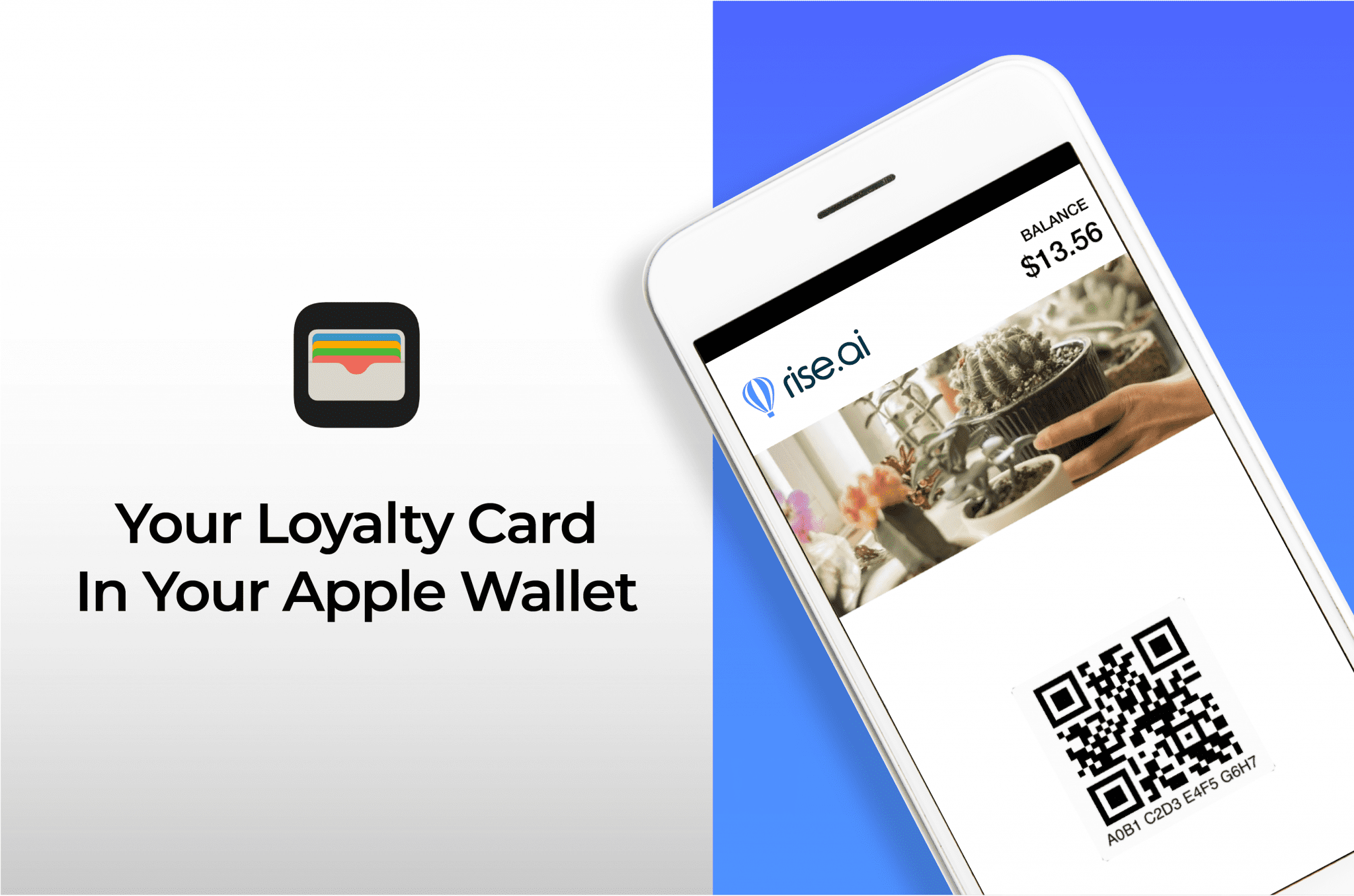 Make Apple Wallet a Part of Your Rise.ai Loyalty Card Experience Rise